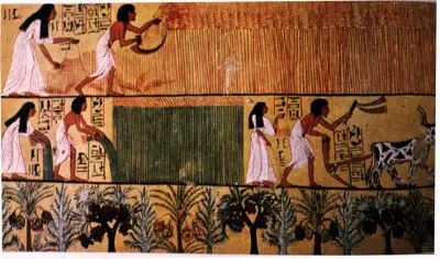 Ancient-Egyptian-Crops