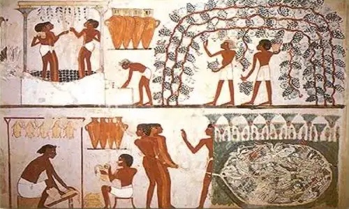 Ancient-Egyptian-Crops
