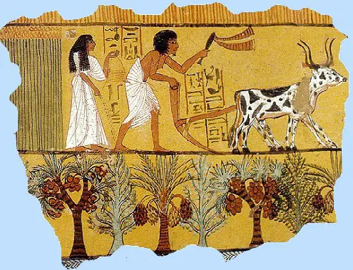 ancient-egyptian-jobs
