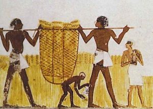 Ancient Egypt Apprenticeship Training