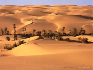 Egyptians Deserts